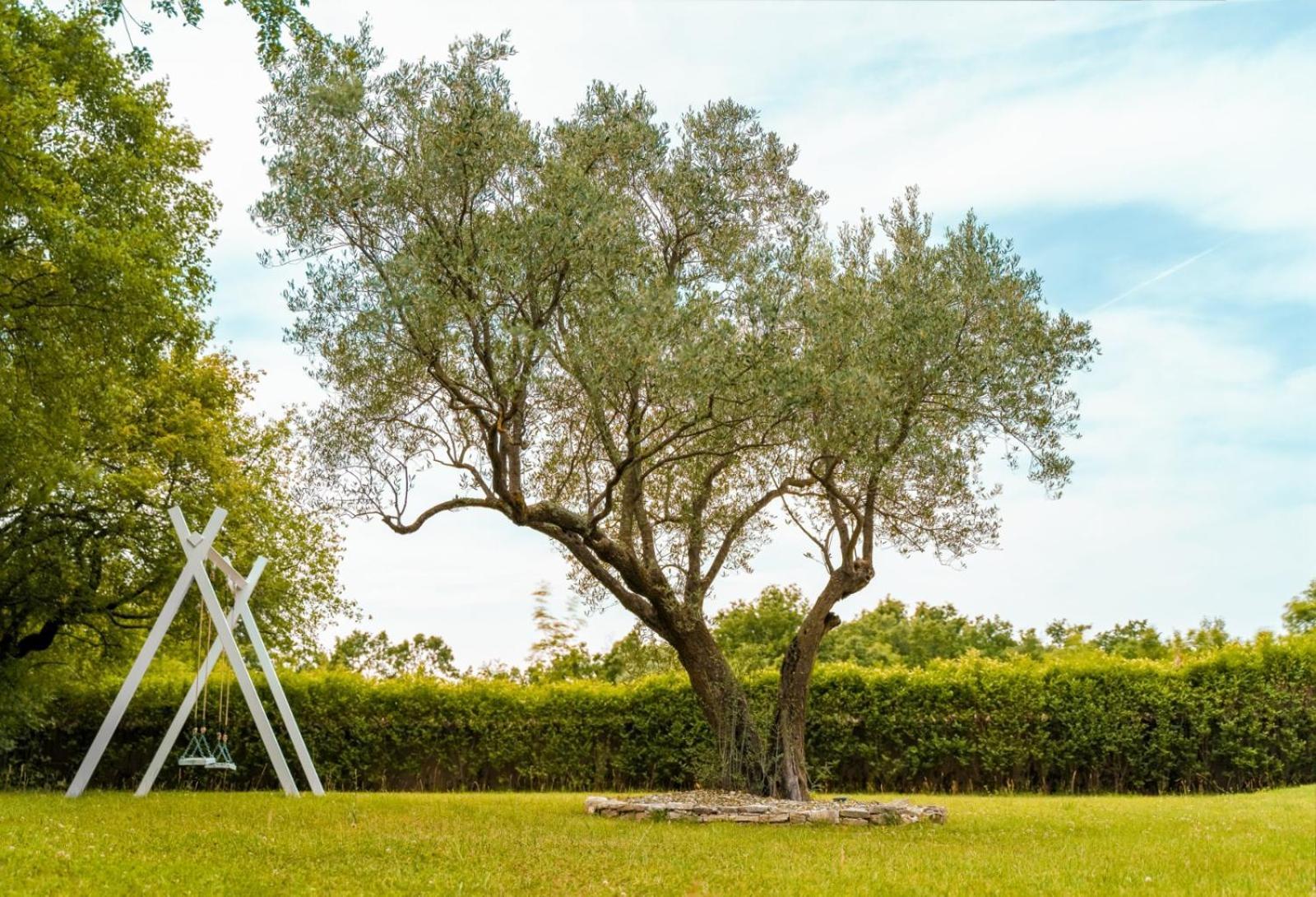 Luxury Villa In Istria - 9,000 Sqm Private Estate With Pool & Sauna, 15 Min To Sea, Near Fazana, 3 Bedrooms Juršići Eksteriør bilde